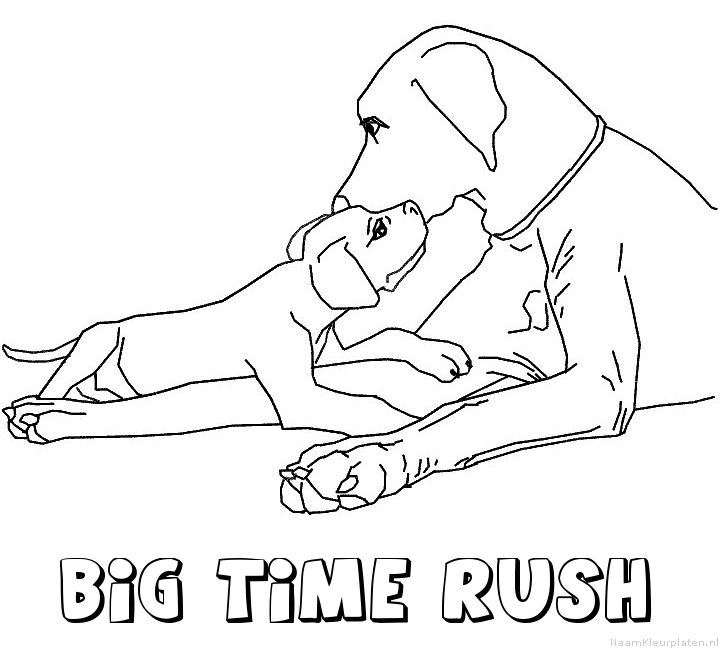 Big time rush hond puppy kleurplaat
